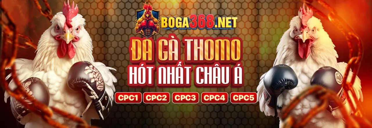Hình ảnh chính về cá cược có trách nhiệm tại DBET Win